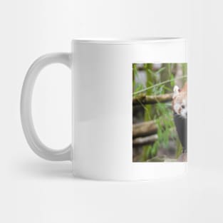 Red Panda Mug